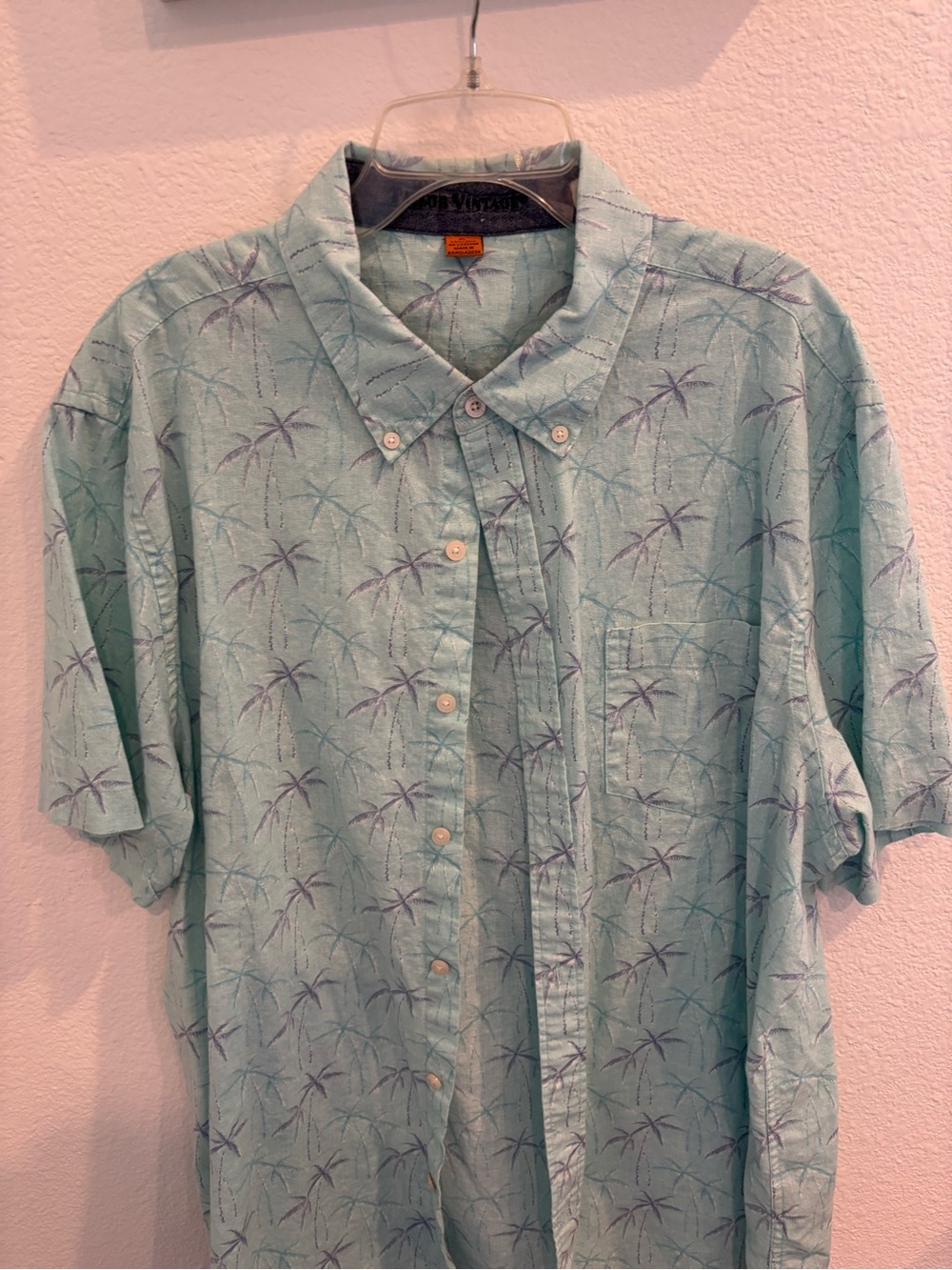 Tailor Vintage Light Green Palm-Print Button-Down Shirt